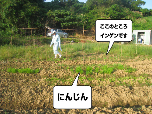 20091213_3