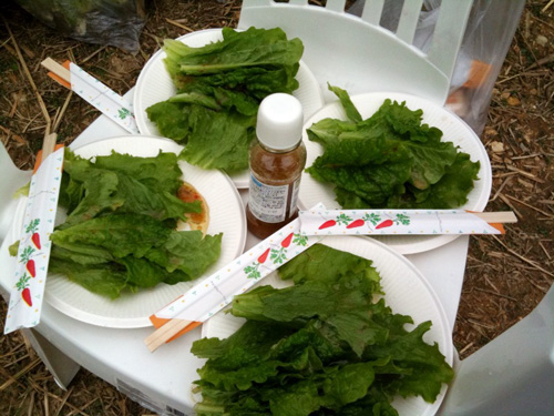 20100124_salad
