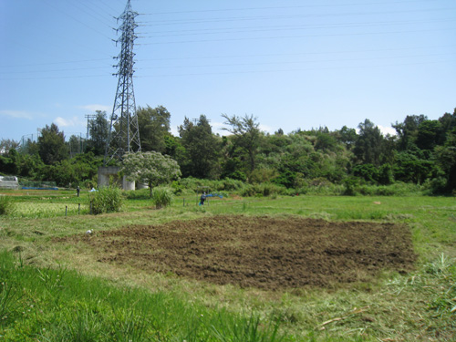 20110409_01 沖縄週末農業 沖縄農業ブログ