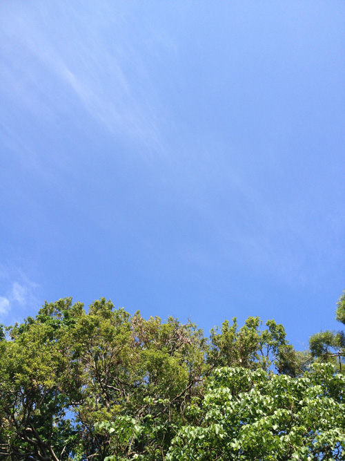 素晴らしい秋空